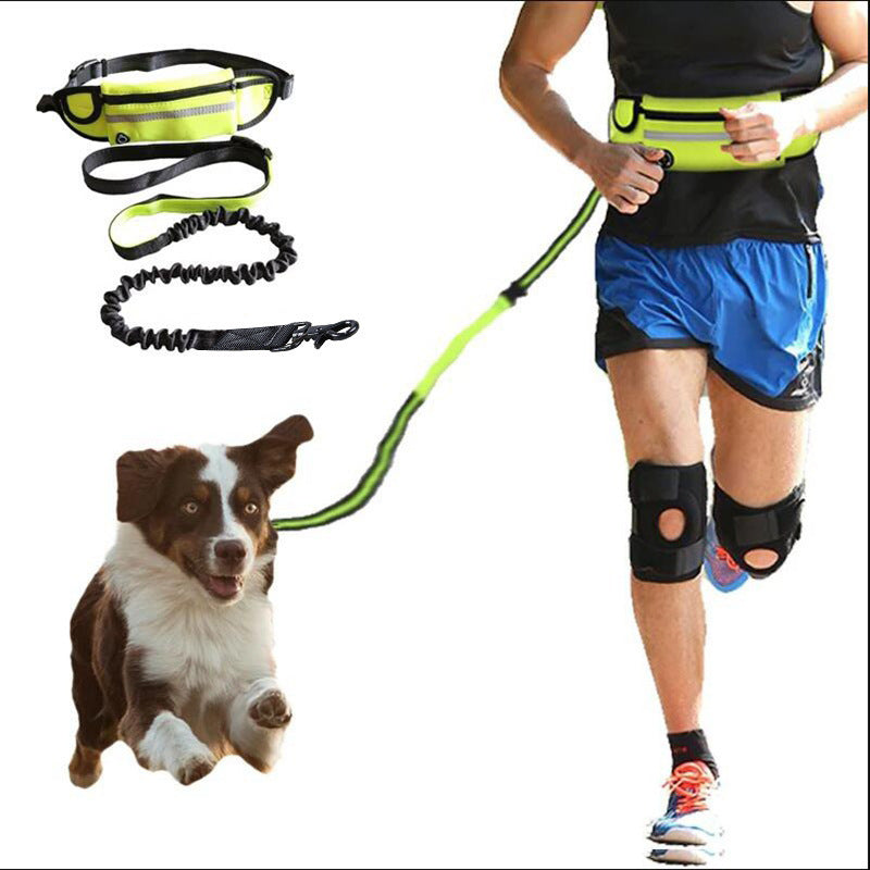 Hands Free Dog Leash