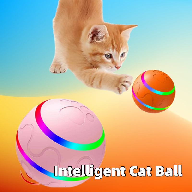 Smart Interactive Ball for Motoric Development for Pets